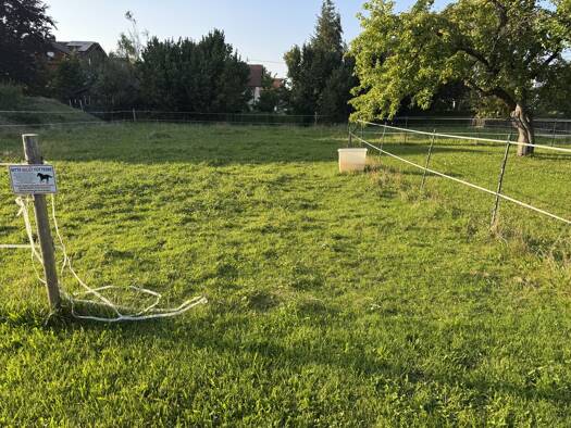 Grundstück zum Kauf 280.000 € 668 m² Grundstück Steingaden 86989