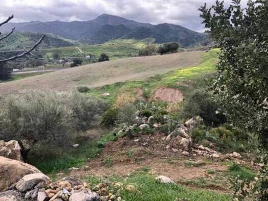 Acker-/Waldstück zum Kauf 135.000 € Álora 29500