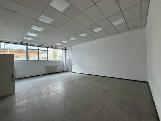 Lagerhalle zur Miete provisionsfrei 916 € 63 m² Lagerfläche Carl-Zeiss-Str. 9 Hechtsheim Mainz 55129