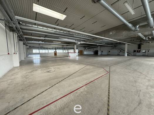 Freifläche zur Miete 2.642,5 m² Lagerfläche Regau 4844