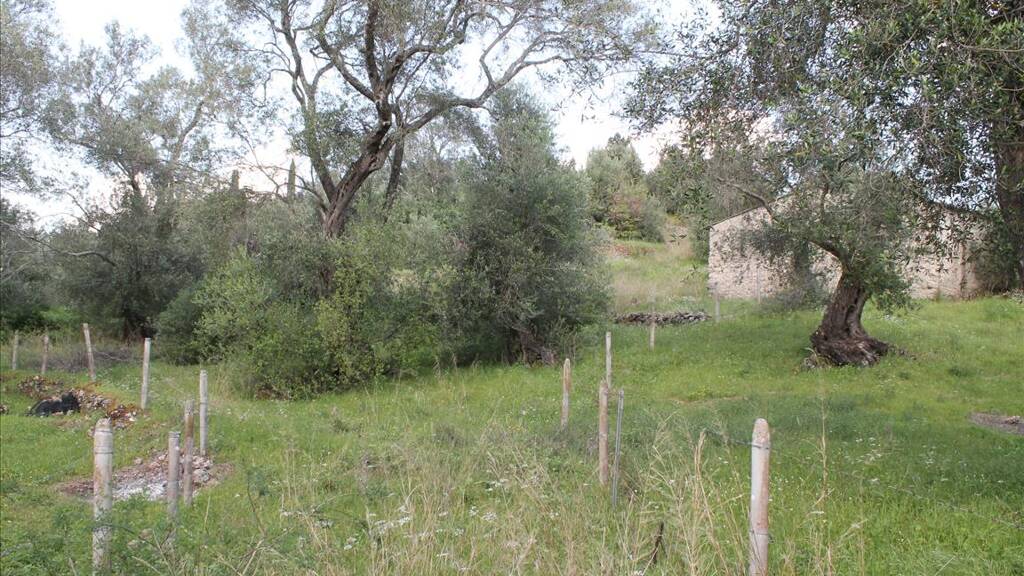 Land-/Forstwirtschaft zum Kauf 130.000 € 4.300 m² Grundstück Korfu