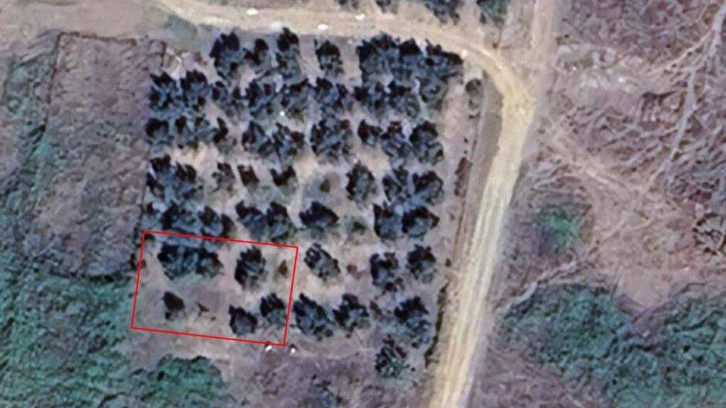 Land-/Forstwirtschaft zum Kauf 170.000 € 600 m² Grundstück Chalkidiki