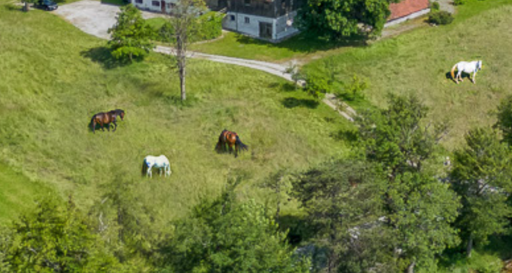 Reiterhof zum Kauf 5.500.000 € 300.000 m²<br/>Grundstück Finning Finning 86923