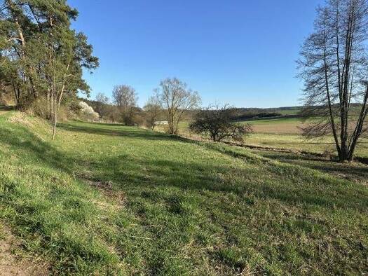 Land-/Forstwirtschaft zum Kauf 4.504 m² Grundstück Gemeinfeld Burgpreppach 97496