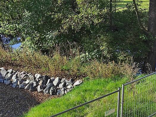 Wohnung zum Kauf 185.813 € 1 Zimmer 49,6 m² frei ab sofort Selbitz 95152