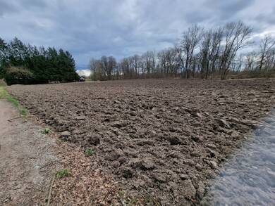 Land-/Forstwirtschaft zum Kauf 119.000 € 8.500 m² Grundstück Rohrbach Erharting / Rohrbach 84513