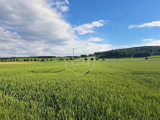 Landwirtschaftliche Fläche zum Kauf 199.500 € 48.208 m² Grundstück Kirchohsen Emmerthal 31860