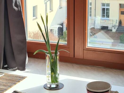 Wohnung zur Miete 405 € 1 Zimmer 30 m² 2. Geschoss Altstadt Wismar 23966