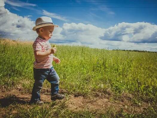 Grundstück zum Kauf provisionsfrei 29.590 € 790 m² Grundstück Zeithain 01609