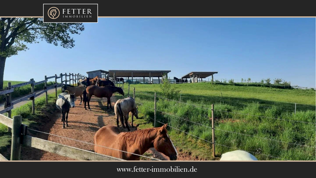 Haus zum Kauf 1.690.000 € 6 Zimmer 161 m² 66.409 m² Grundstück Wartenberg-Rohrbach 67681