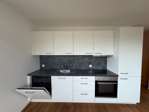 Wohnung zur Miete 752 € 2 Zimmer 47 m² 1. Geschoss Karl-Höll-Straße Lauterach 6923