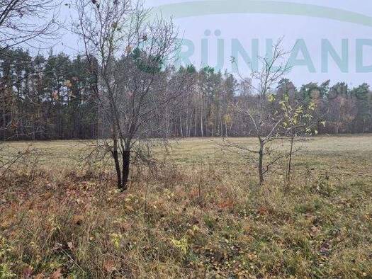 Land-/Forstwirtschaft zum Kauf 160.000 € 109.880 m² Grundstück Banzendorf Lindow (Mark) 16835