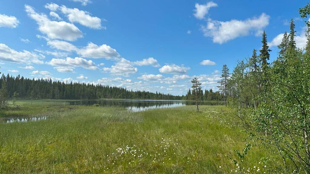 Forstwirtschaft zum Kauf provisionsfrei 215.000 € 1.690.000 m² Lainio 98591