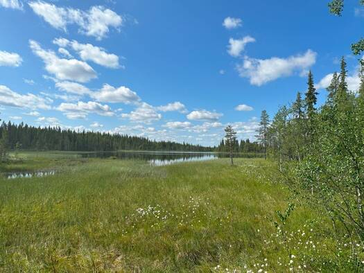 Forstwirtschaft zum Kauf provisionsfrei 215.000 € 1.690.000 m² Kiruna kommun 98591