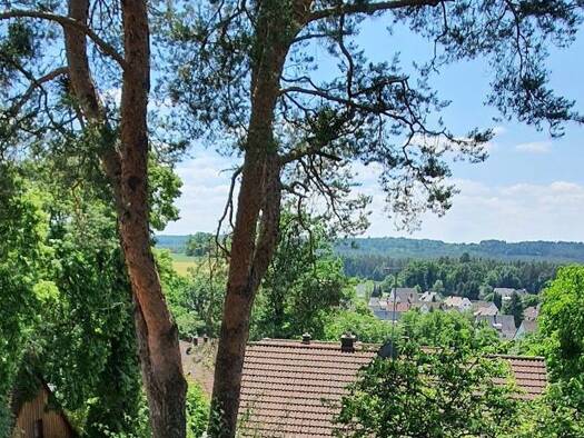 Wohnung zur Miete 890 € 2 Zimmer 68 m² Geschoss 1/2 frei ab sofort Mimberg Burgthann 90559