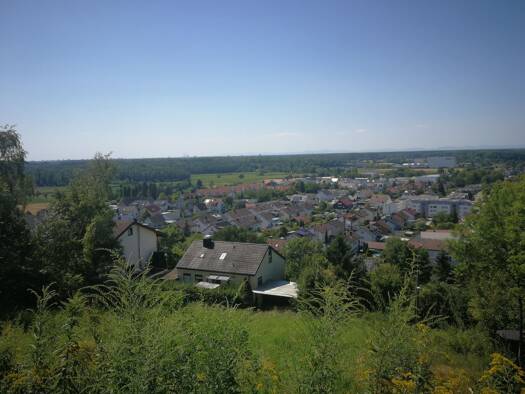 Einfamilienhaus zum Kauf 479.000 € 6 Zimmer 189 m² 534 m² Grundstück frei ab sofort Weingarten 76356