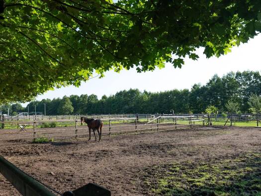 Lagerhalle zum Kauf 450.000 € 1.272 m² Lagerfläche Epe Gronau 48599