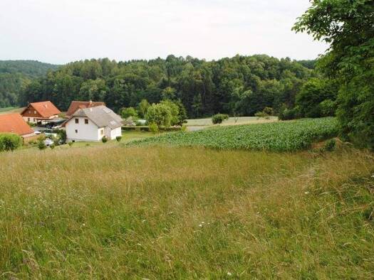 Grundstück zum Kauf provisionsfrei 80 € Pirching am Traubenberg 8081