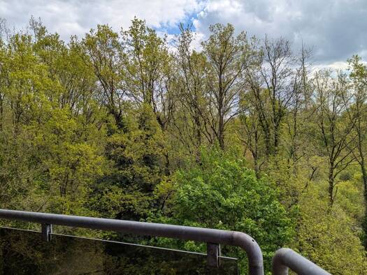 Wohnung zum Kauf provisionsfrei 140.000 € 1 Zimmer 34,5 m² Geschoss 4/5 Kurt-Schumacher-Straße 24 Frankenforst Bergisch Gladbach 51427