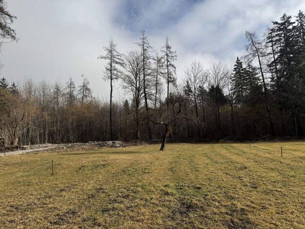 Grundstück zum Kauf provisionsfrei 454 m² Grundstück Grünsbach, 122 Münster 6232