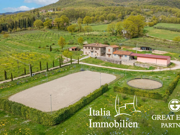 Bauernhaus zum Kauf 1.650.000 € 30 Zimmer 330 m² 64.000 m² Grundstück Castel Focognano 52016