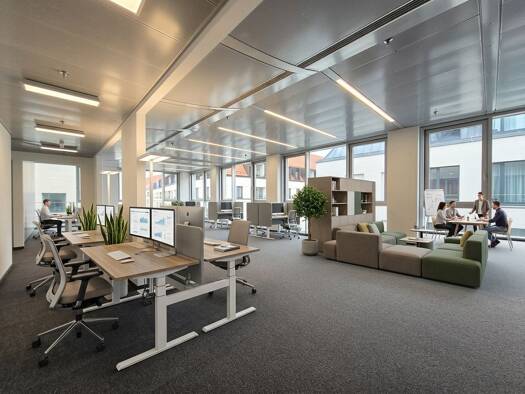 Bürofläche zur Miete provisionsfrei 15 € 263 m² Bürofläche Innere Altstadt Ortsamtsbereich Altstadt 01067