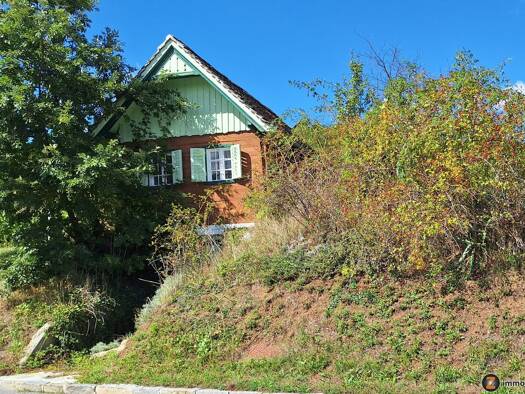 Haus zum Kauf 79.000 € 2 Zimmer 20 m² 2.364 m² Grundstück Eisenberg an der Pinka 7474