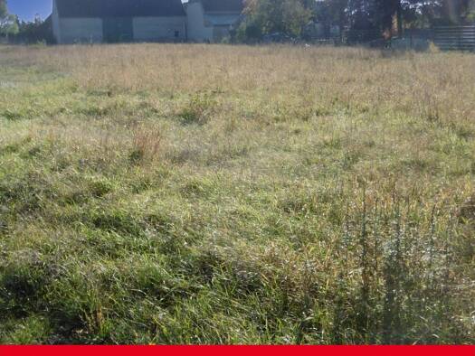 Grundstück zum Kauf 39.200 € 941 m² Grundstück frei ab sofort Jessen 06917