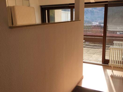 Terrassenwohnung zum Kauf provisionsfrei 103.000 € 1 Zimmer 46 m² Geschoss 2/6 Schönau im Schwarzwald 79677