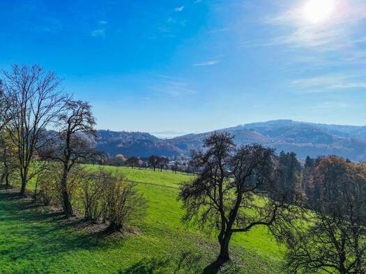Grundstück zum Kauf 1.770.000 € 3.935 m² Grundstück Puchenau (Linz) 4048