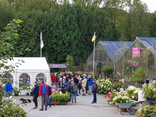 Land-/Forstwirtschaft zum Kauf 1.600.000 € 29.269 m² Grundstück Uengsterode Großalmerode 37247