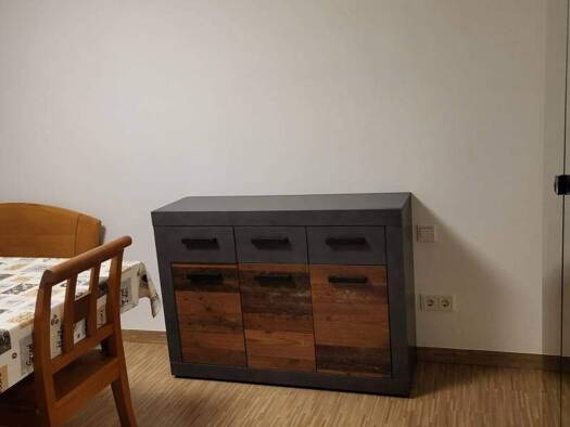 Wohnung zur Miete 370 € 29 m² Zewen Trier 54294