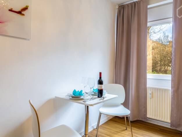 Studio zur Miete Wohnen auf Zeit 990 € 1 Zimmer 20 m² frei ab 01.06.2026 Altstadt Mainz 55116