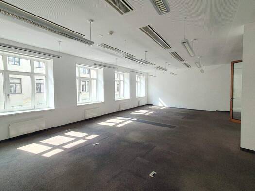 Büro zur Miete 24 € Fleischmarkt Wien 1010