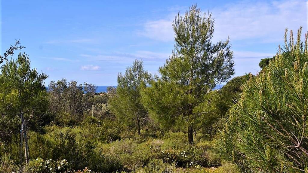 Land-/Forstwirtschaft zum Kauf 420.000 € 12.000 m² Grundstück Korfu