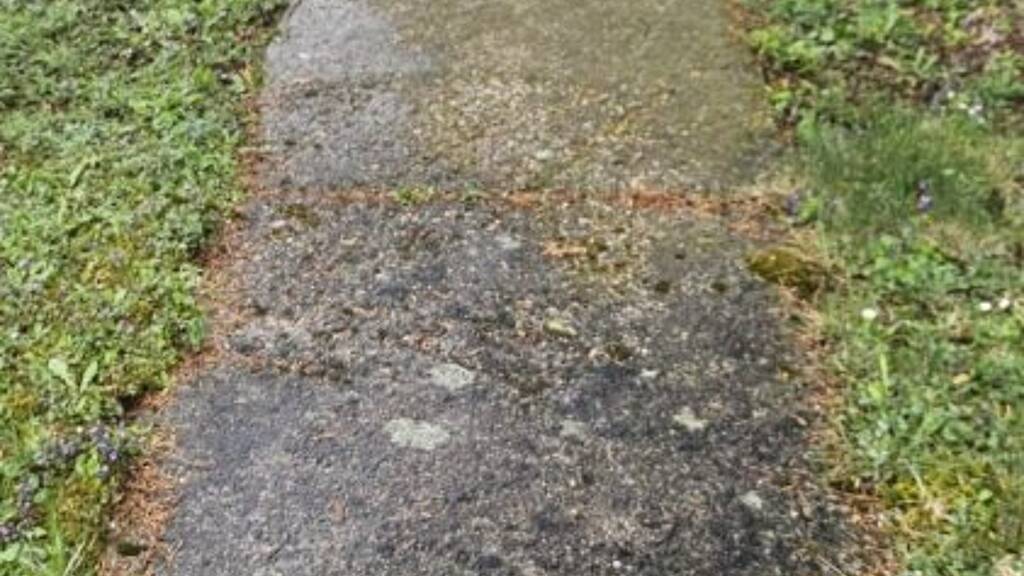 Grundstück zum Kauf 850.000 € 3.490 m² Grundstück Ungerfeldgasse Bad Vöslau 2540