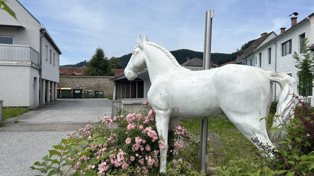 Sonstiges zum Kauf als Kapitalanlage geeignet 662.000 € 475,5 m² Köflach 8580