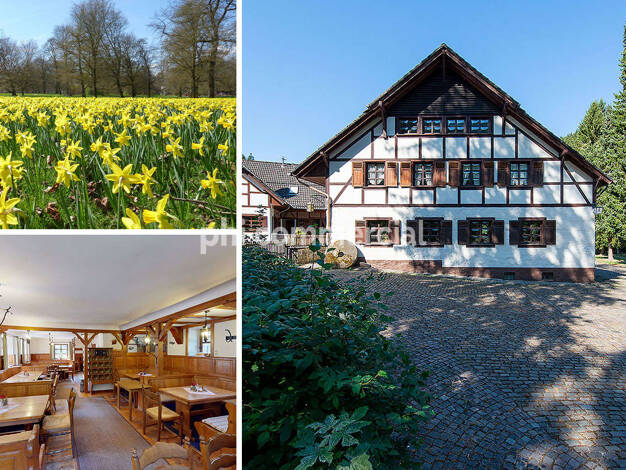Hotel zur Miete 2.000 € 2.000 m² Grundstück Höfen Monschau 52156