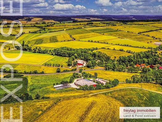 Bauernhaus zum Kauf 950.000 € 8 Zimmer 206 m² 370.000 m² Grundstück Renda Ringgau 37296