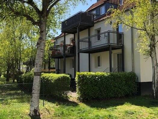 Wohnung zur Miete 380 € 1,5 Zimmer 41,7 m² EG frei ab sofort Prof.-Billroth-Straße 9 Niedersedlitz Dresden 01259