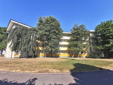 Wohnung zum Kauf als Kapitalanlage geeignet 149.000 € 2 Zimmer 49,9 m² Johann - Peter - Hebel - Schule 71 Singen (Hohentwiel) 78224