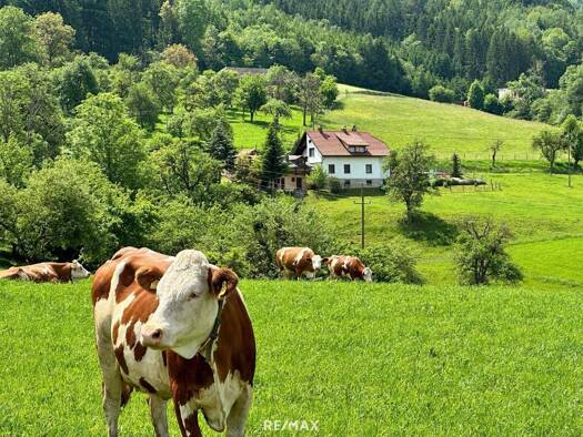 Einfamilienhaus zum Kauf 287.000 € 152 m² 3.102 m² Grundstück Granitztal-St. Paul 9470