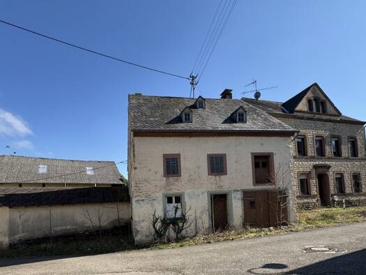 Bauernhaus zum Kauf 169.000 € 10 Zimmer 167,4 m² 15.951 m² Grundstück Ittel Welschbillig / Ittel 54298