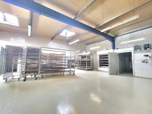 Lagerhalle zur Miete 1.800 € 259 m² Lagerfläche Langquaid 84085