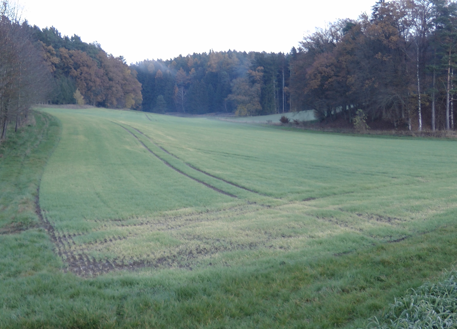 Landwirtschaftliche Fläche zur Versteigerung 117.459 m²<br/>Fläche Gottfriedingerschwaige Gottfrieding 84177