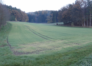 Landwirtschaftliche Fläche zur Versteigerung 117.459 m² Gottfriedingerschwaige Gottfrieding 84177