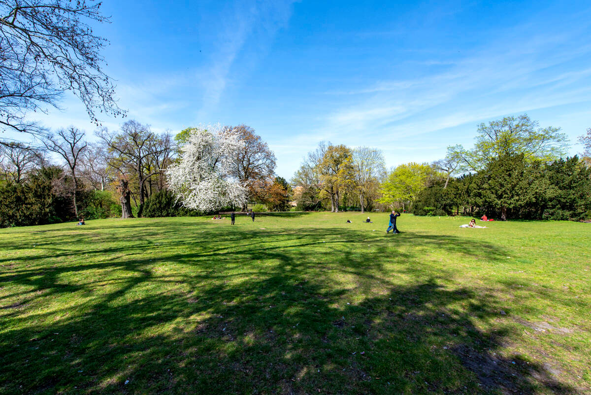 Property thumbnail 13