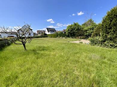 Grundstück zum Kauf 185.000 € 1.036 m² Grundstück frei ab sofort Rheine 48432