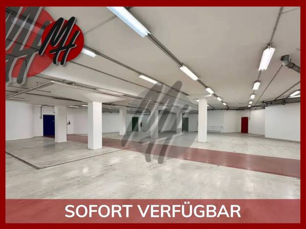 Halle/Industriefläche zur Miete 7,50 € 1.000 m² Lagerfläche Schwalbach 65824
