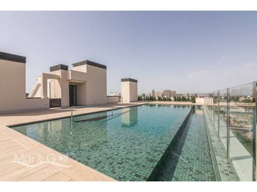 Penthouse zum Kauf 955.000 € 3 Zimmer 120 m² 8. Geschoss Calle Argentina 3 Elx / Elche 03293